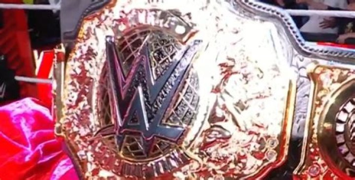 A Closer Look At The Boxing Champion's Wealth