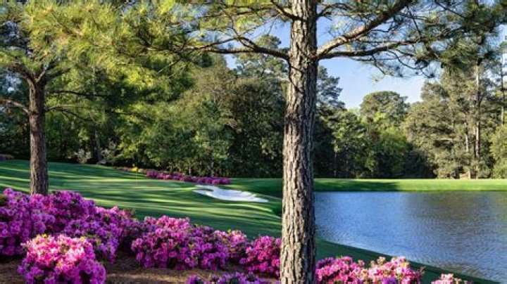 A Closer Look At The Professional Golfer's Earnings