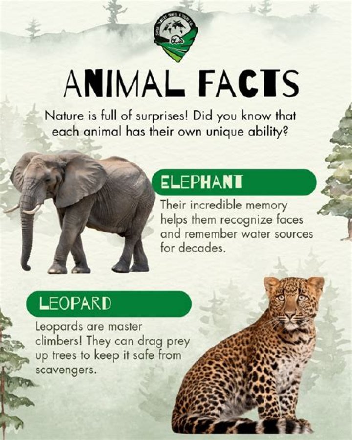 Discover Hidden Facts And Surprises