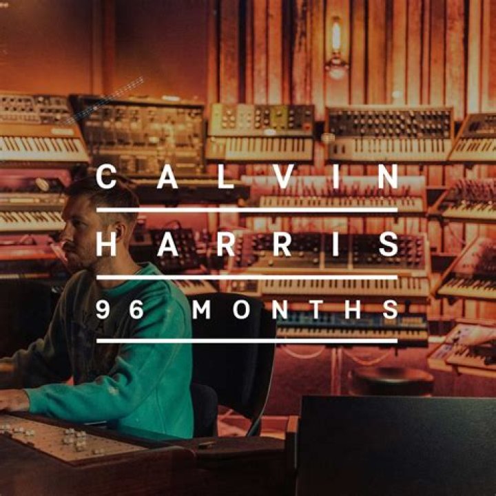 Is Calvin Harris' "Ole" About Taylor Swift? The John Newman Track's Lyrics Are Telling