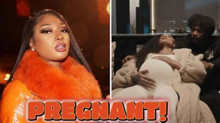 "Is Megan Thee Stallion Pregnant?" Discoveries And Insights Revealed