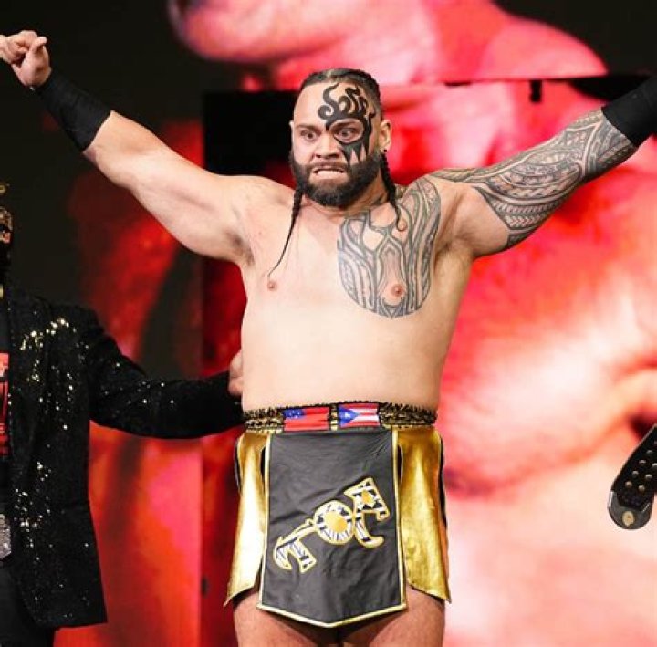 Is Toa Liona Related To Roman Reigns? Explore Family And Ethnicity