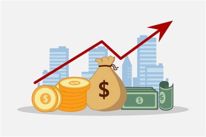 Net Worth, Income, And Success Revealed