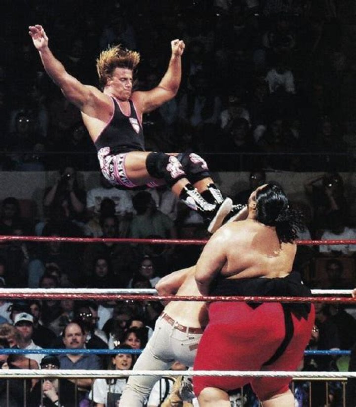 Owen Hart ·