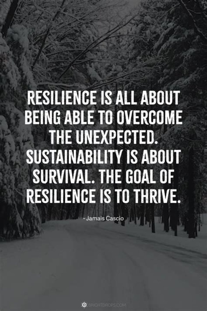 Uncovering Love And Resilience In Later Life