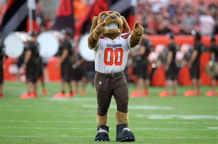 What's Up With the Cleveland Browns Mascot? Some Fans and Players Aren't Happy |
