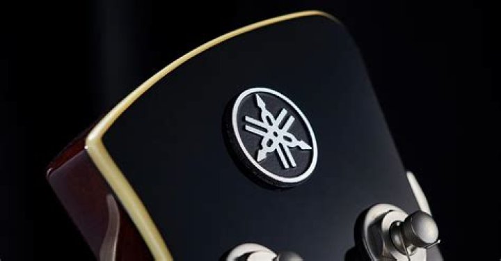 Why Does Yamaha Make Everything? |